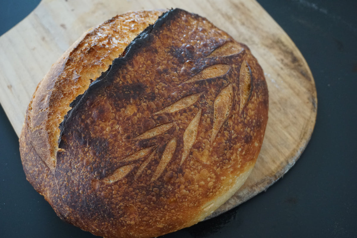 Brot